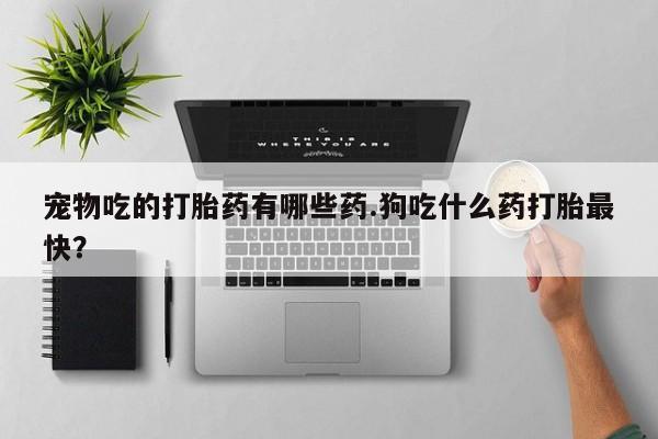 堕胎药在线付款宠物吃的打胎药有哪些药.狗吃什么药打胎最快？