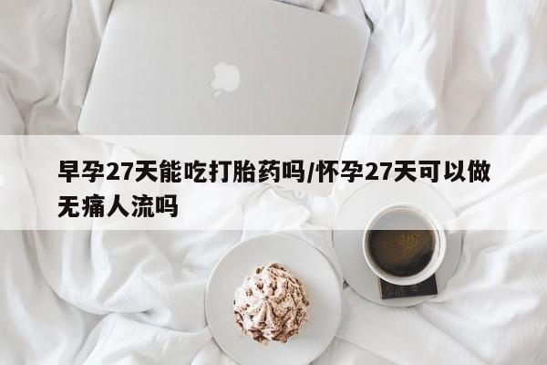 堕胎药在线付款早孕27天能吃打胎药吗/怀孕27天可以做无痛人流吗