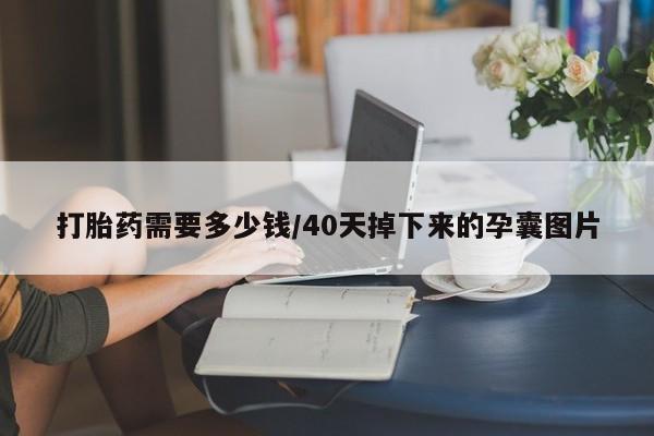 堕胎药在线付款打胎药需要多少钱/40天掉下来的孕囊图片